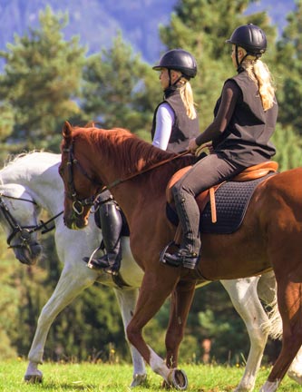 Weitere Kategorien entdecken